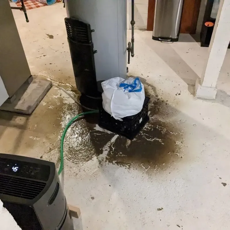 Sewage Backup Cleanup Service in Taney County, MO
